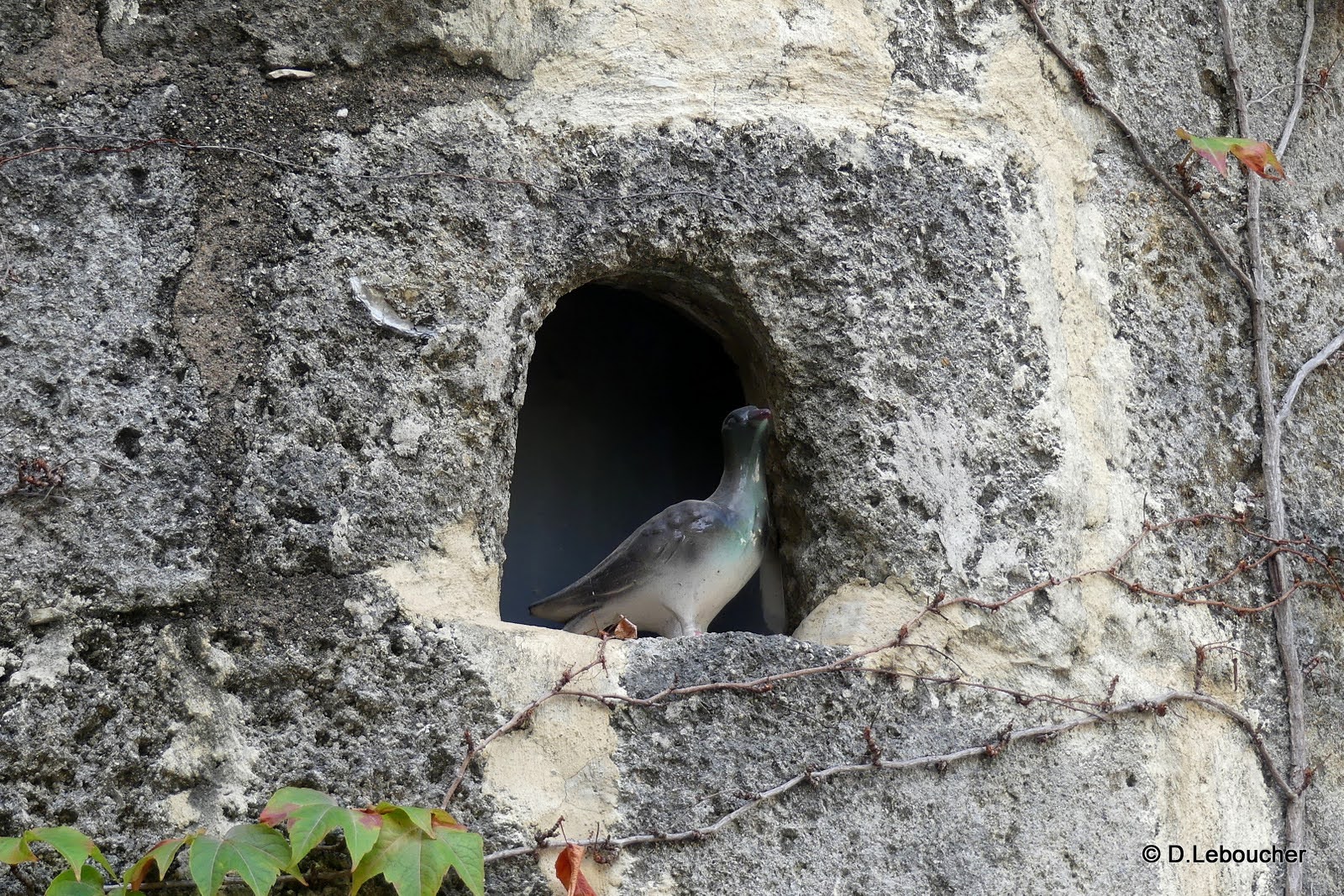 Balade conte  Pzenas